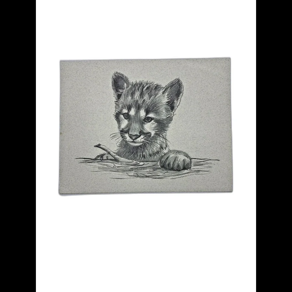 Vtg 1994 Telstar Graphics Note Cards & Envelopes Animals Print Set Of 3 USA
